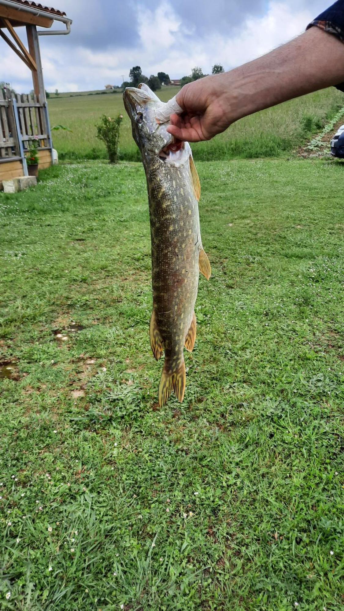 Etang Pre De La Font Hotell Cercles Eksteriør bilde